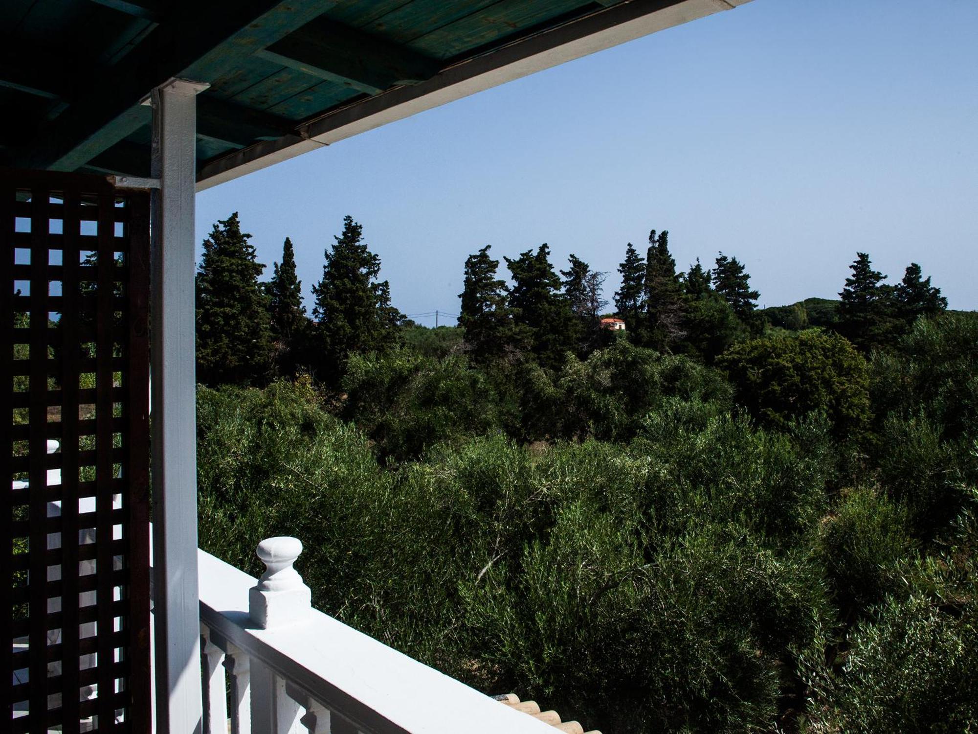 Areti Orfeas Studios Vasilikos  Room photo
