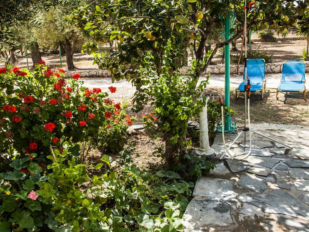 Areti Orfeas Studios Vasilikos  Exterior photo